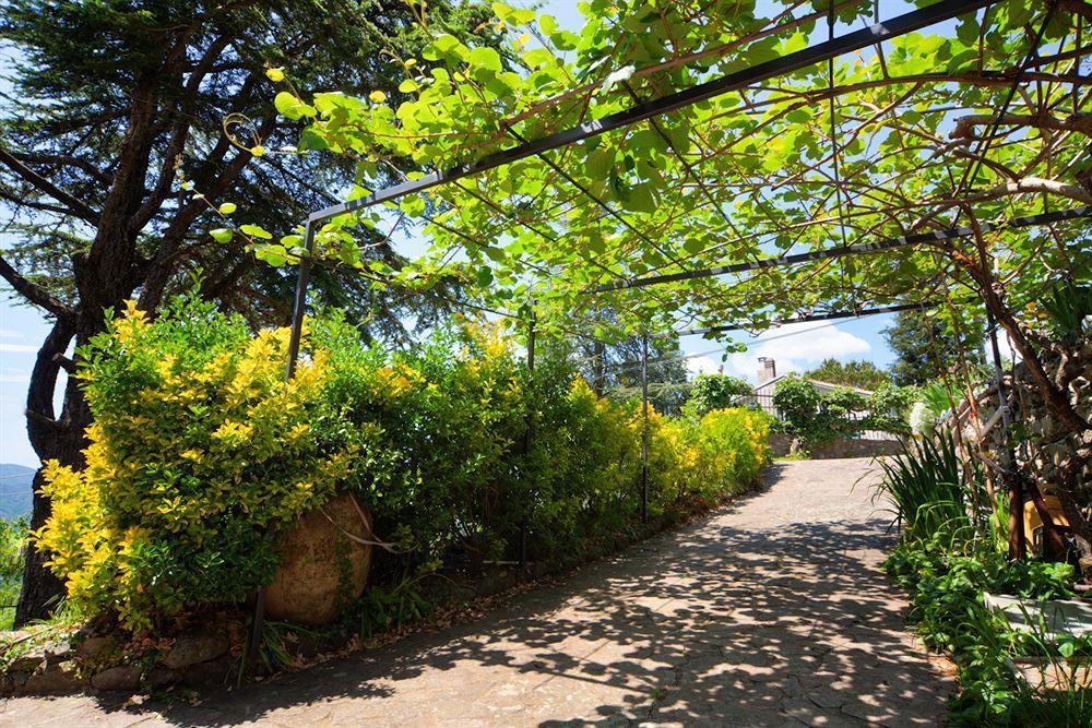 Oasi Verde Castiglione Chiavarese Exteriör bild