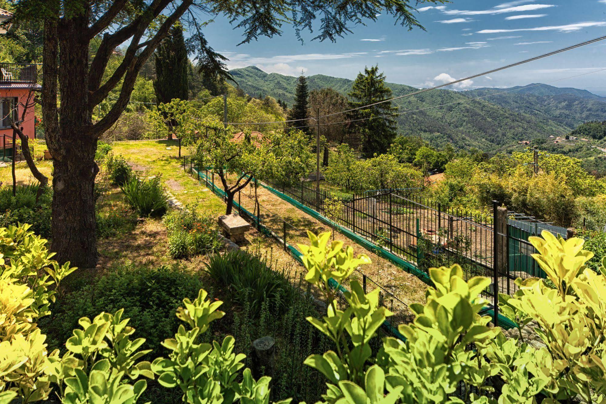Oasi Verde Castiglione Chiavarese Exteriör bild