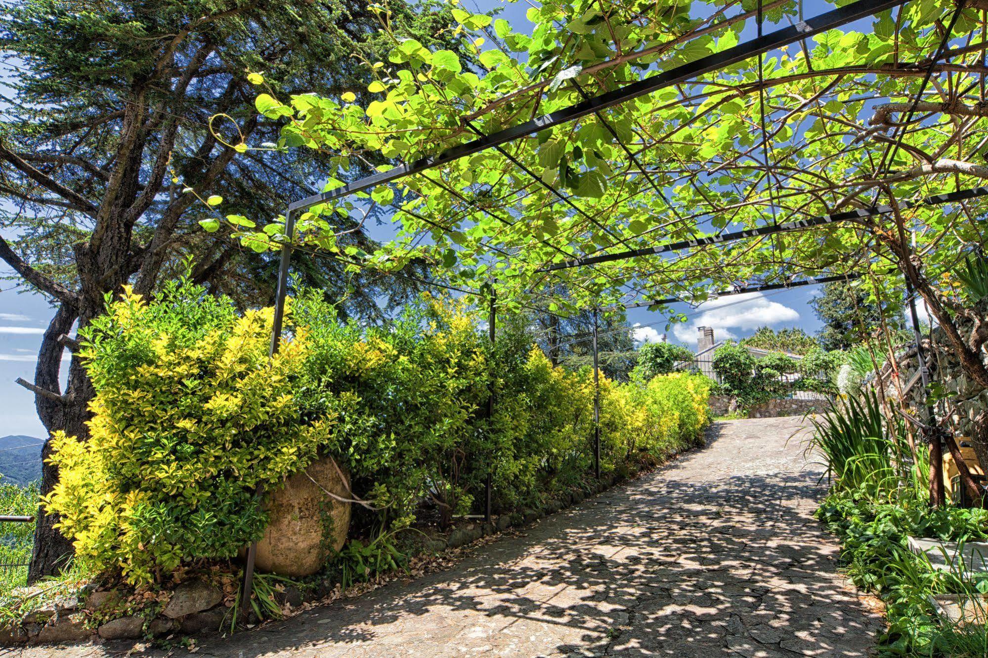 Oasi Verde Castiglione Chiavarese Exteriör bild